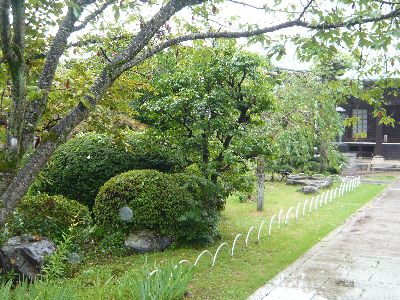 国分寺境内の様子