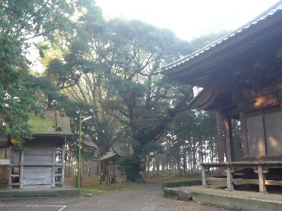 境内の様子（観音堂と鹿島神社）