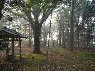 境内の様子