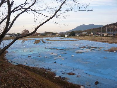 発掘風景