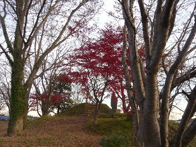 小田城本丸跡