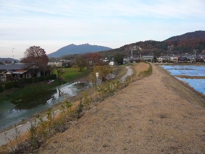 内堀の様子