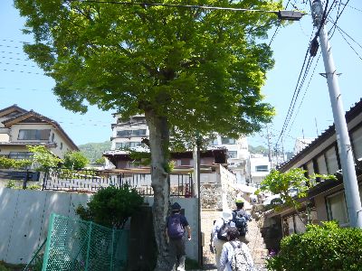 石段の路