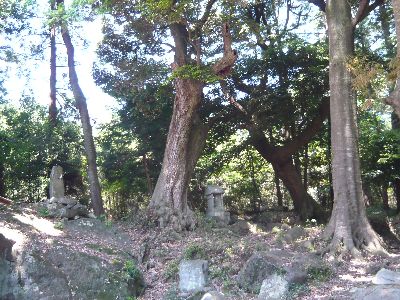 飯名神社の本殿背後