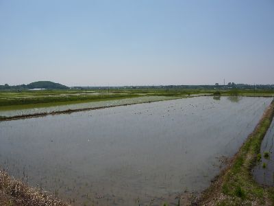 田園の風景